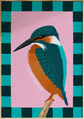 Common Kingfisher Art Print