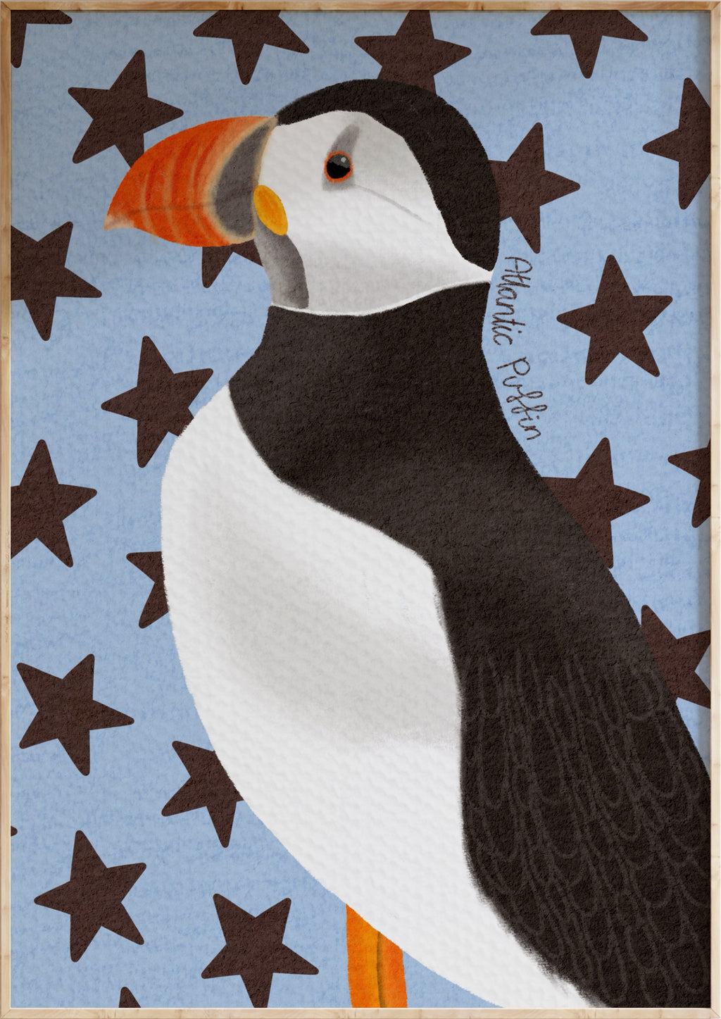 Atlantic Puffin Art Print