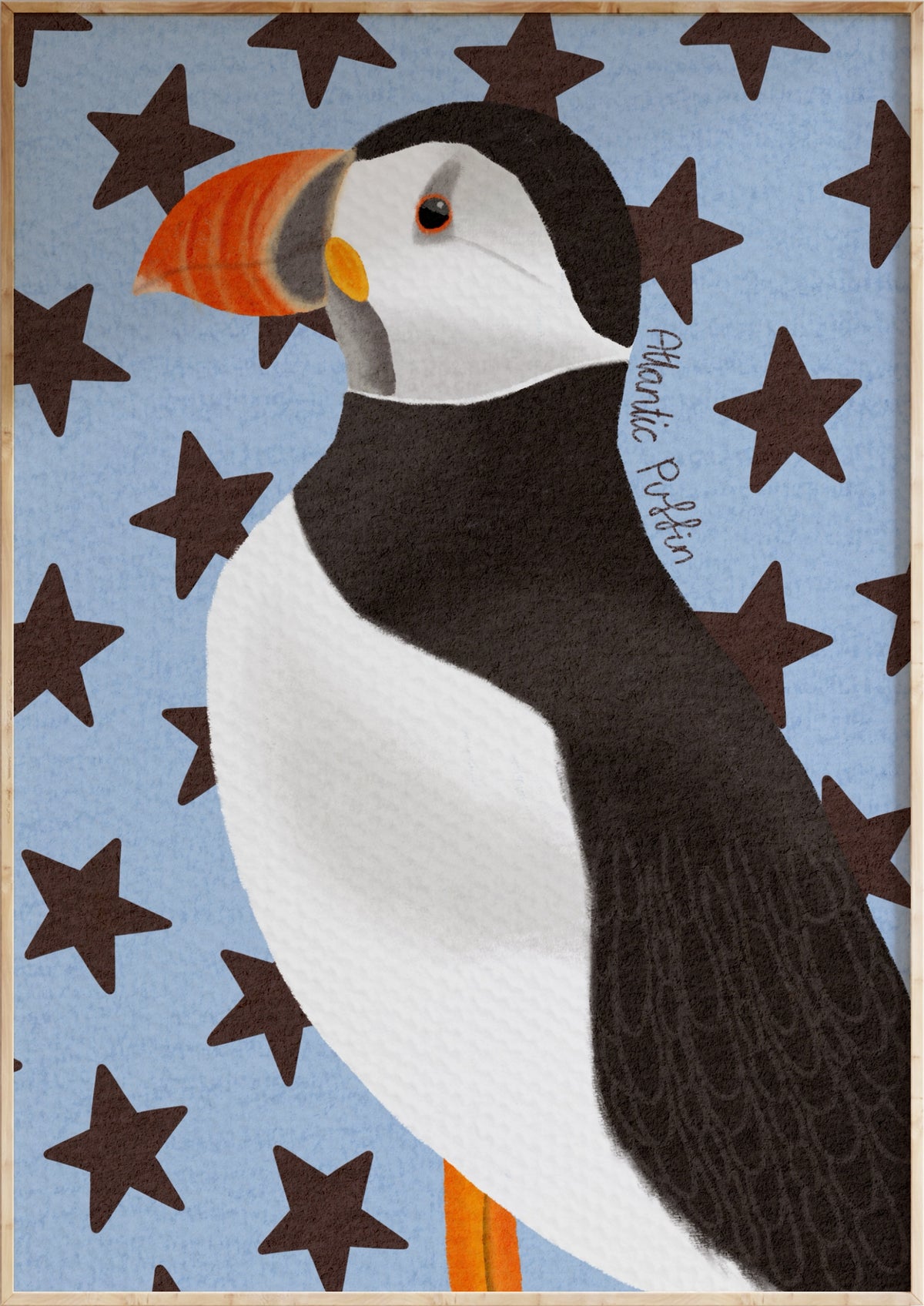 Atlantic Puffin Art Print