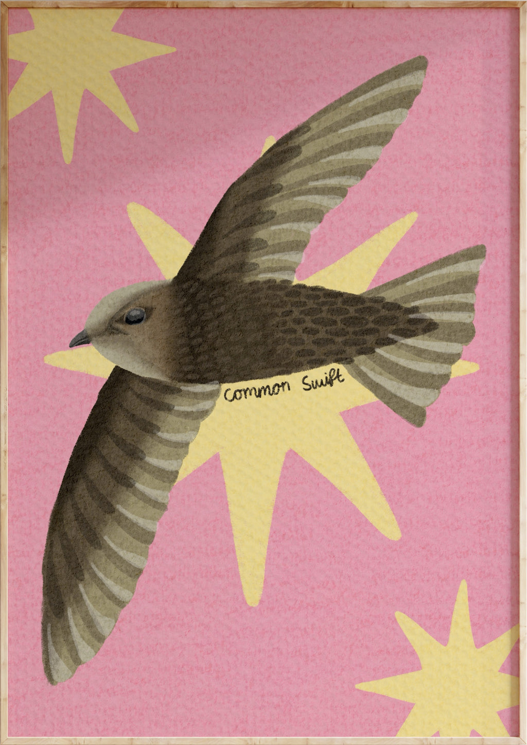 Common Swift Art Print