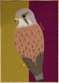 Kestrel Art Print