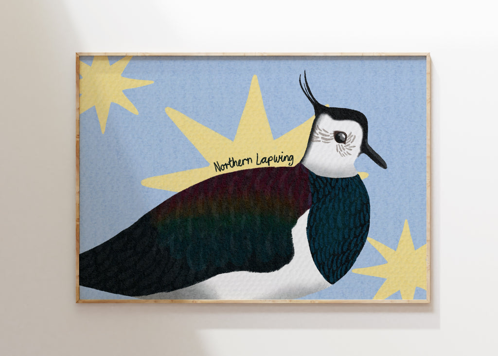 Northern Lapwing Art Print