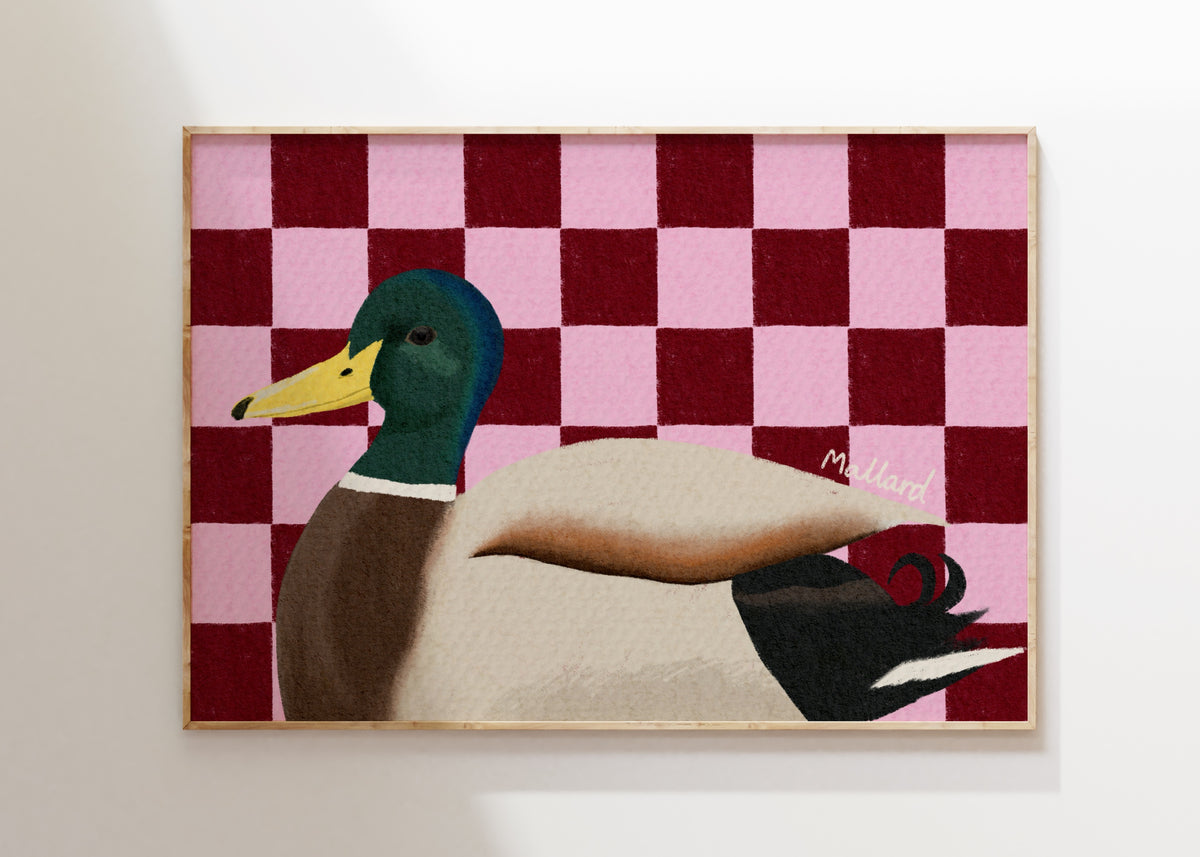 Mallard Duck Art Print