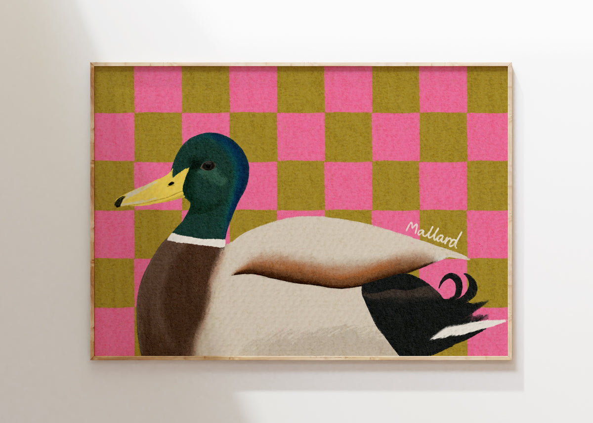 Mallard Duck Art Print