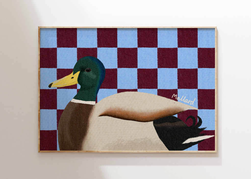 Mallard Duck Art Print