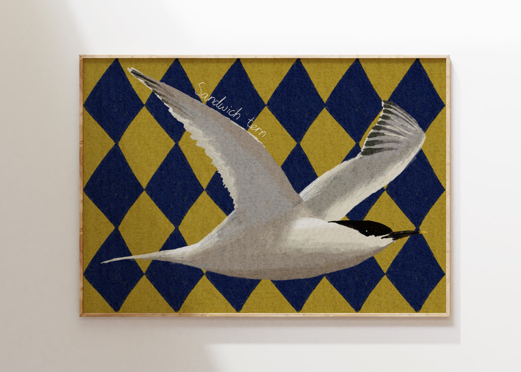 Sandwich Tern Art Print