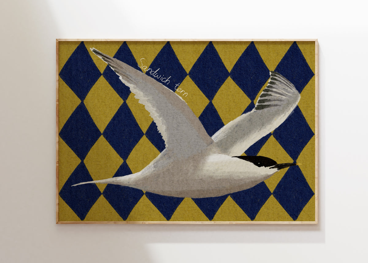 Sandwich Tern Art Print