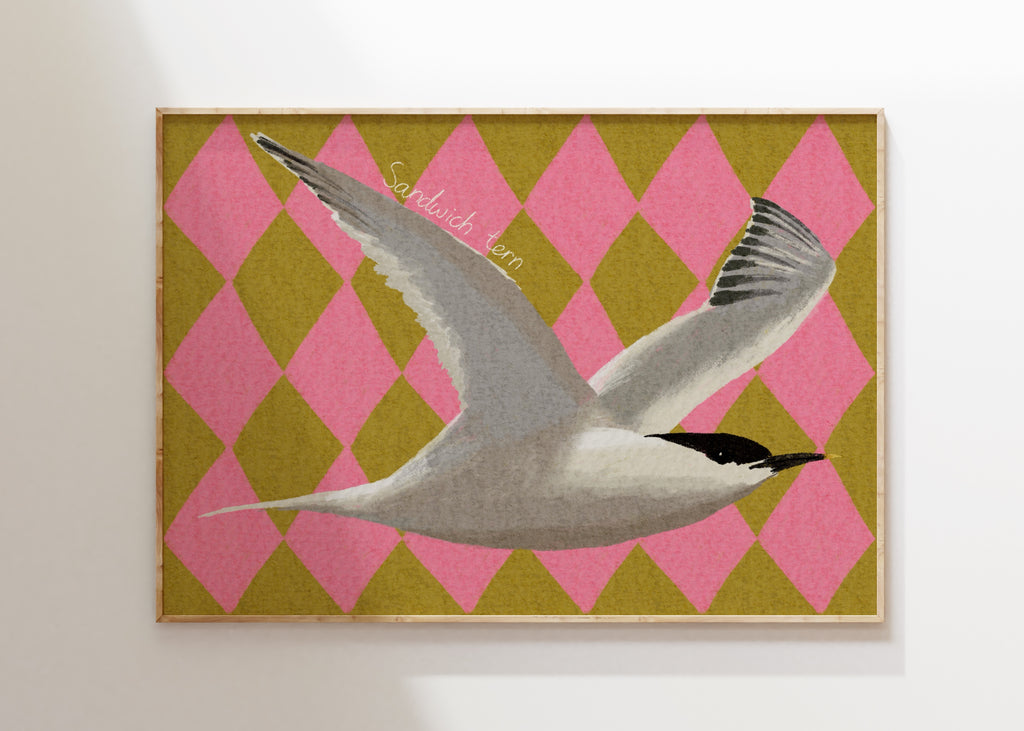 Sandwich Tern Art Print