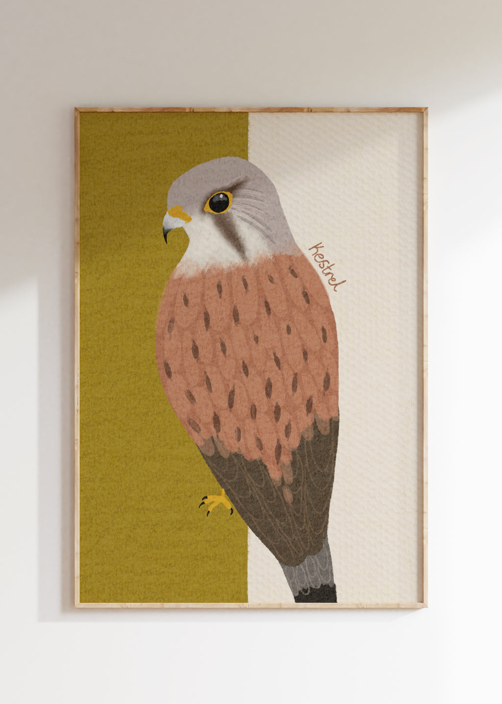 Kestrel Art Print