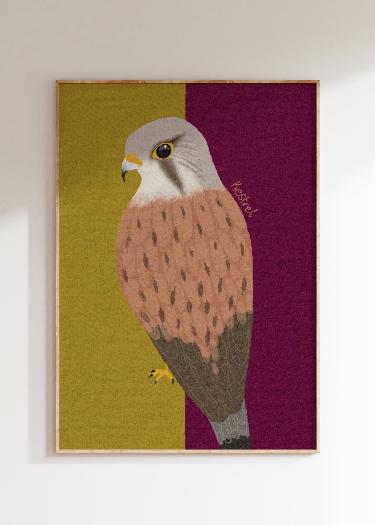 Kestrel Art Print
