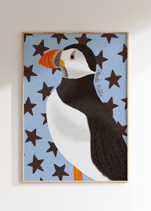Atlantic Puffin Art Print