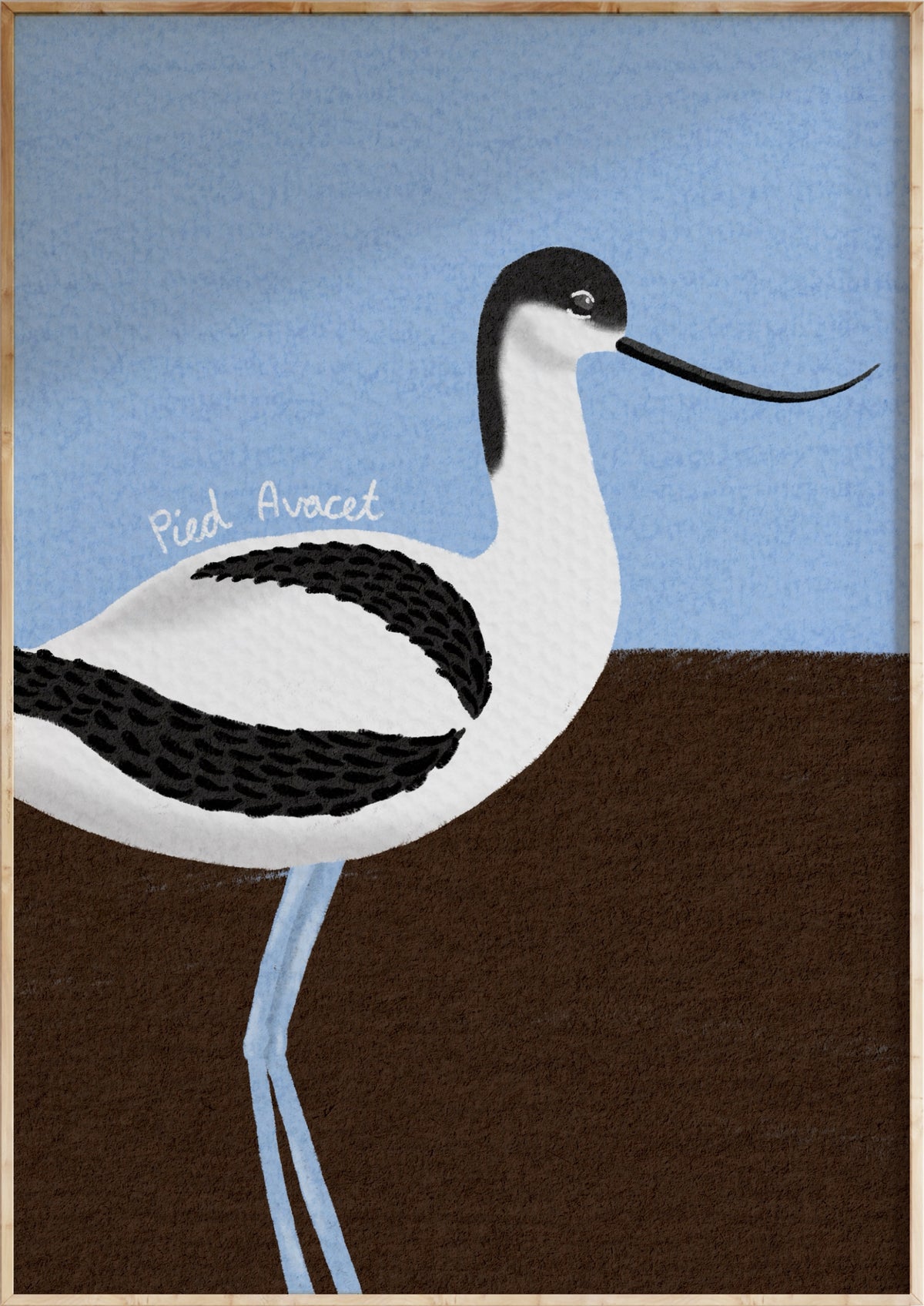 Avocet Art Print