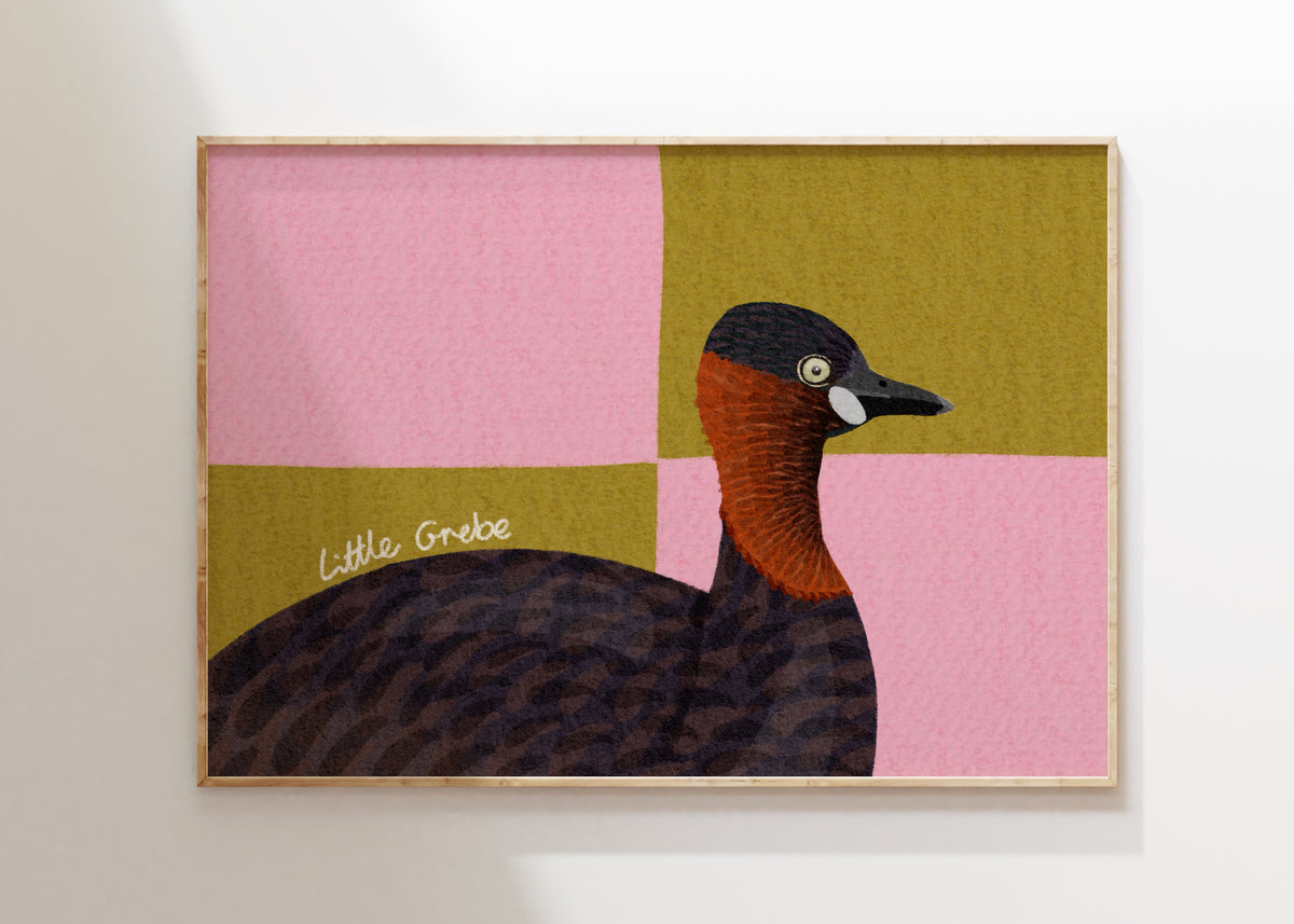 Little Grebe Art Print