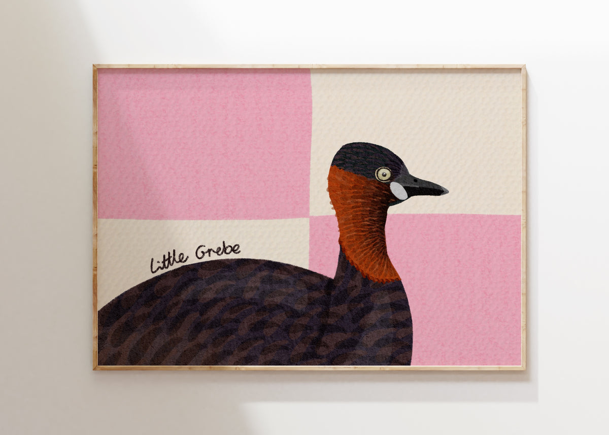 Little Grebe Art Print