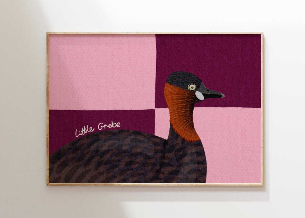 Little Grebe Art Print