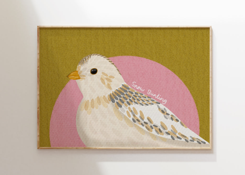 Snow Bunting Art Print