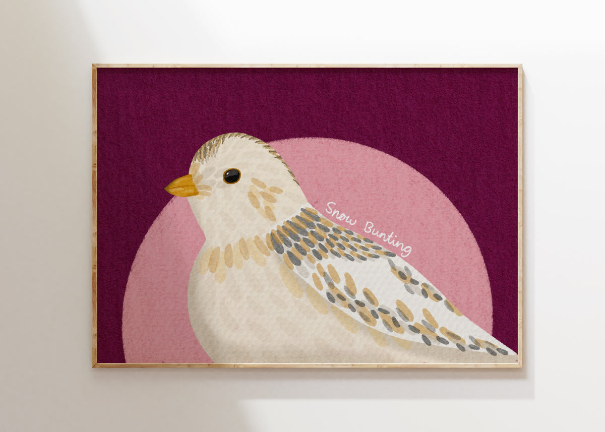 Snow Bunting Art Print