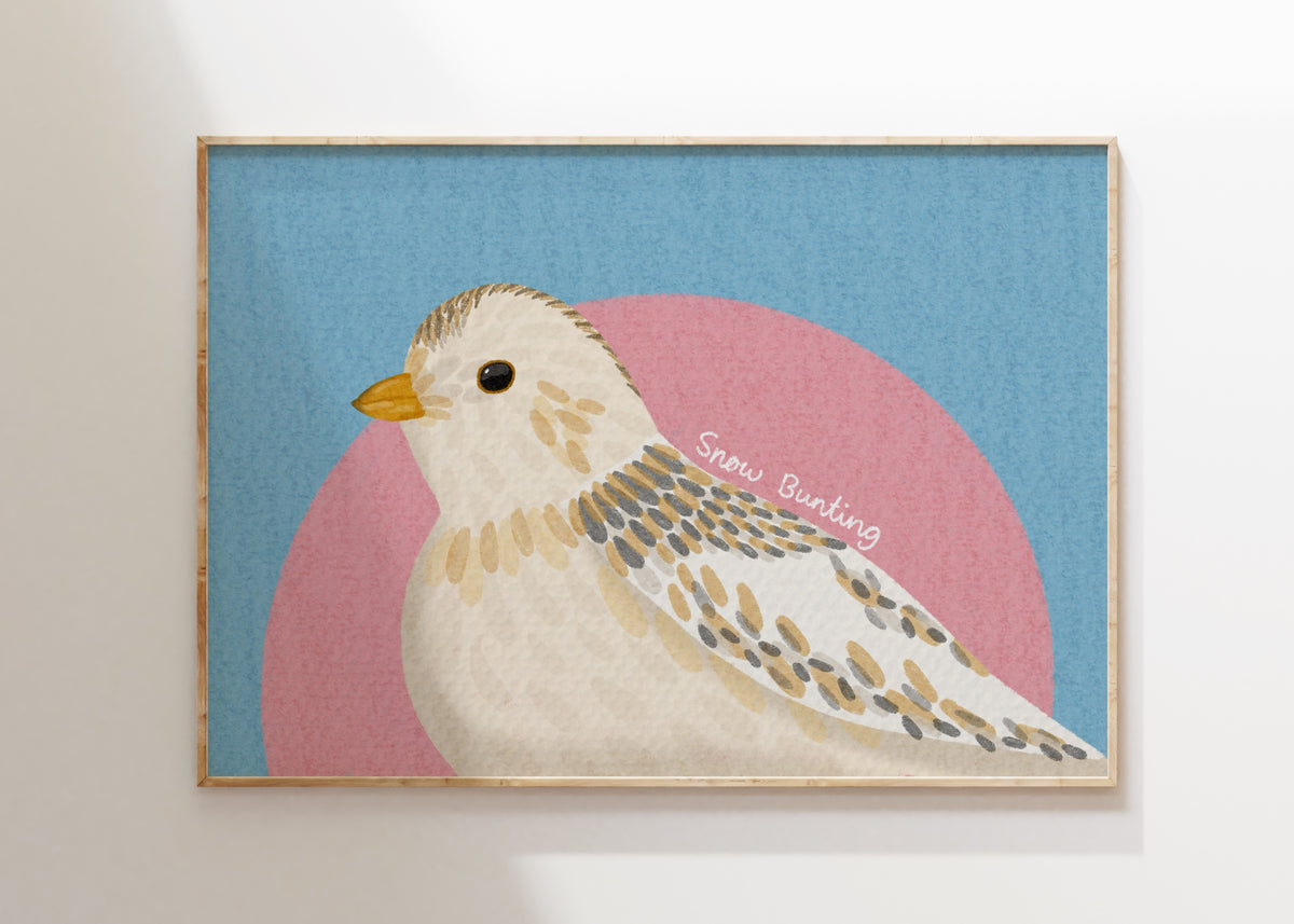 Snow Bunting Art Print