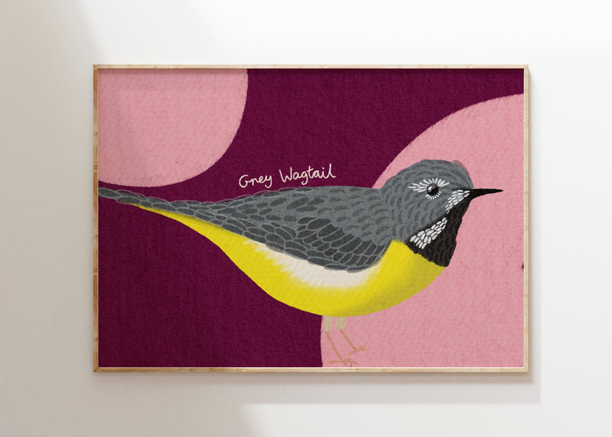 Grey Wagtail Art Print