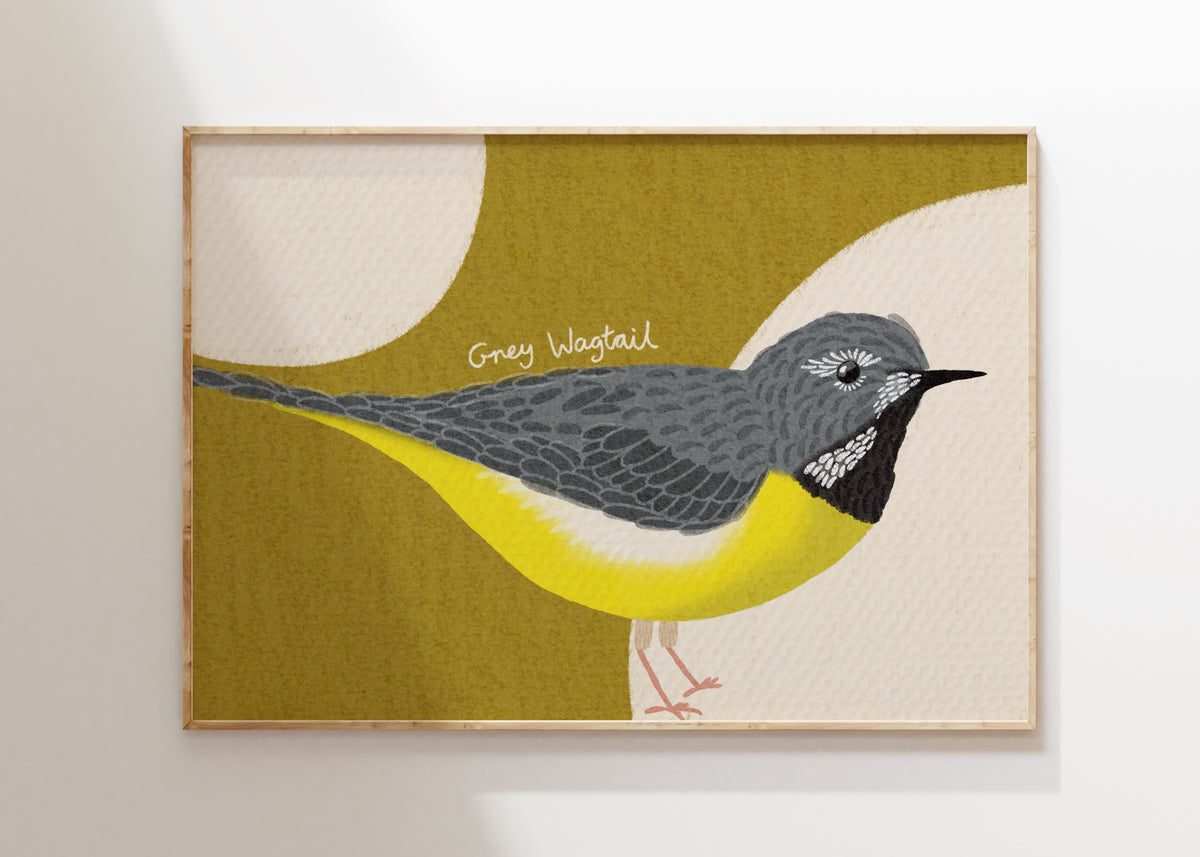 Grey Wagtail Art Print