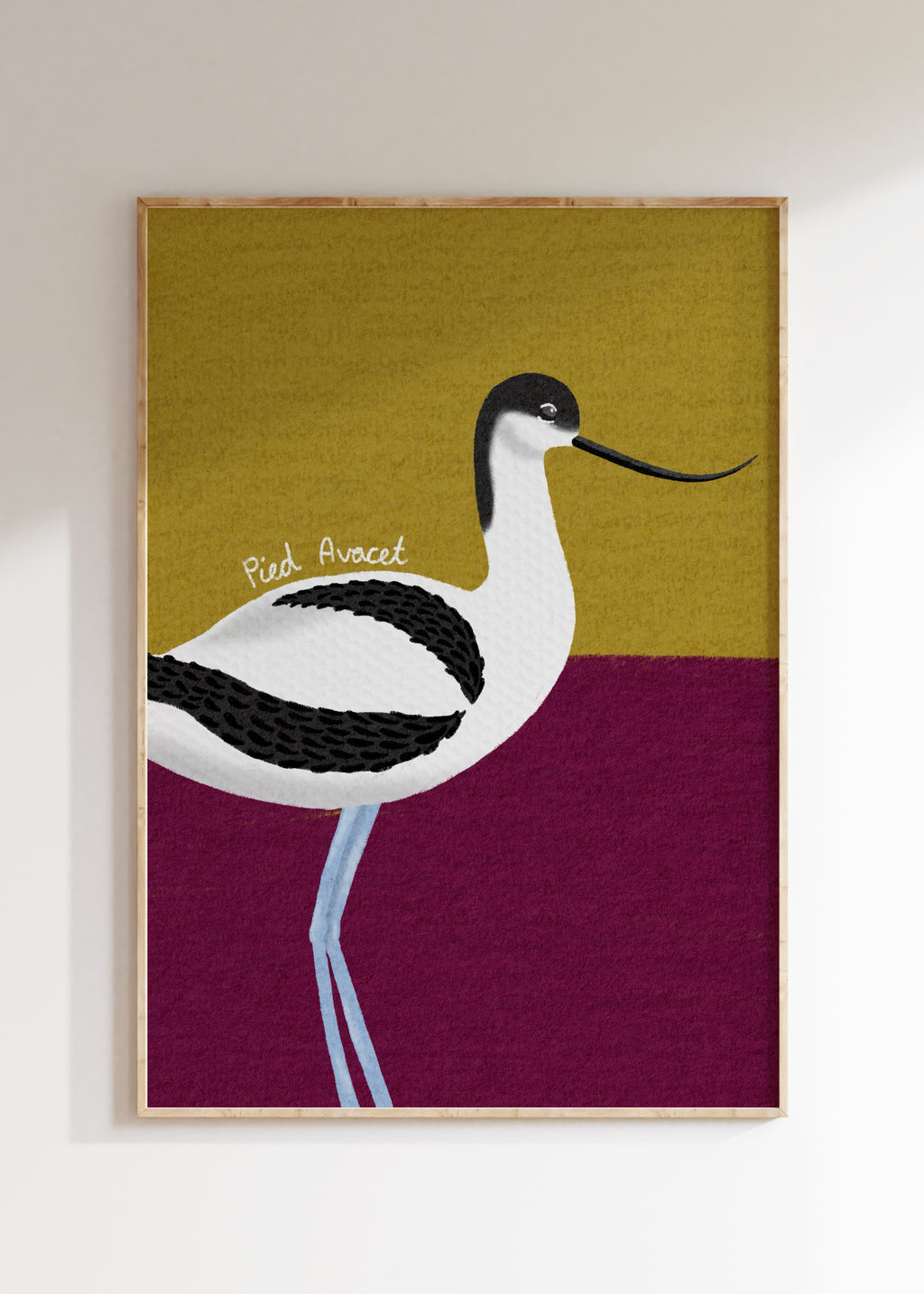 Avocet Art Print