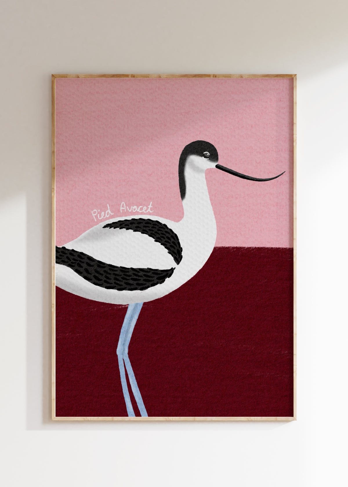 Avocet Art Print