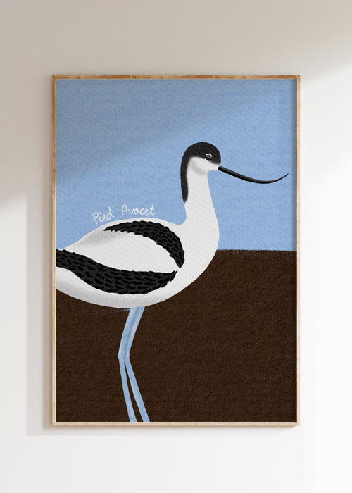 Avocet Art Print