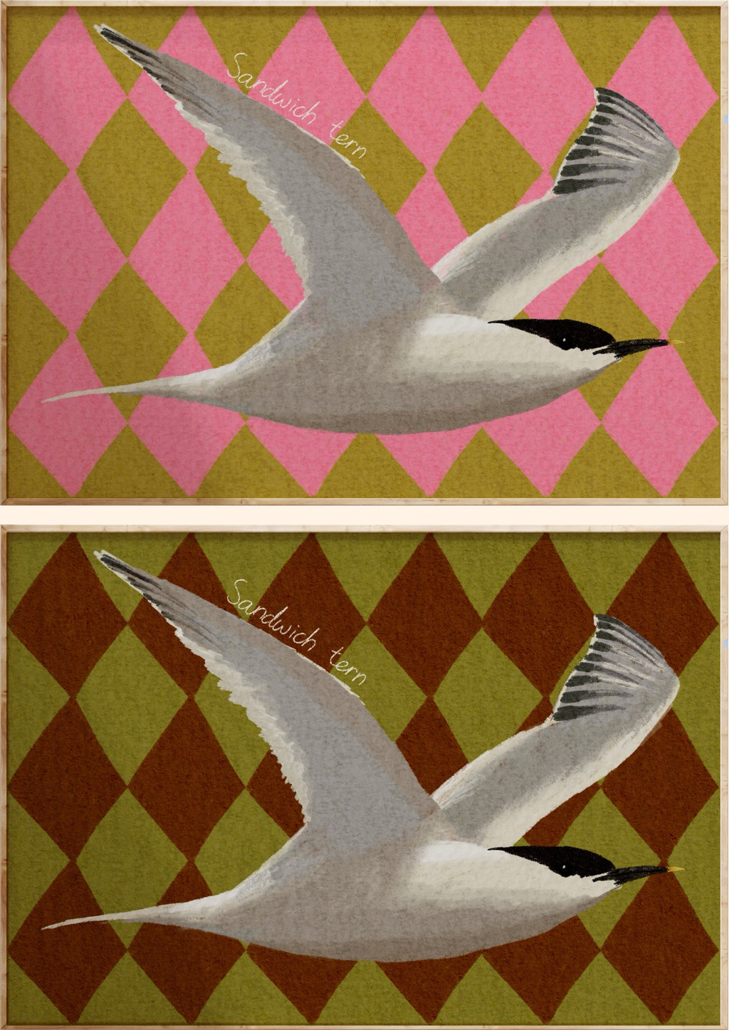 Sandwich Tern Art Print