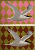 Sandwich Tern Art Print
