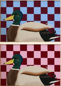 Mallard Duck Art Print