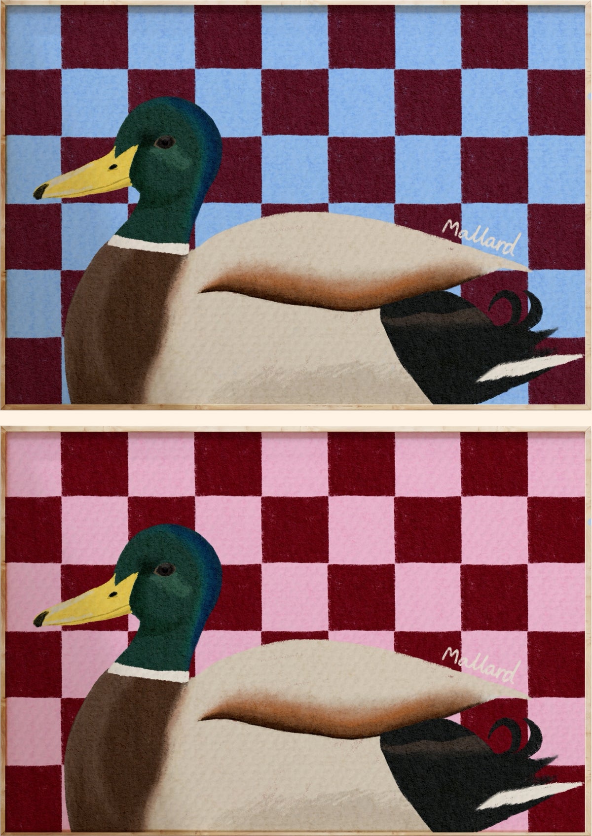 Mallard Duck Art Print