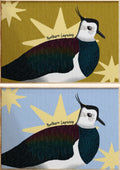 Northern Lapwing Art Print