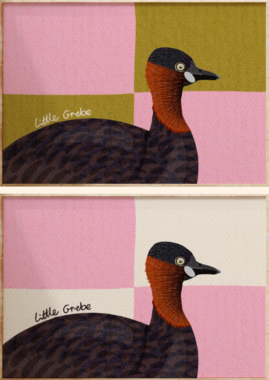 Little Grebe Art Print