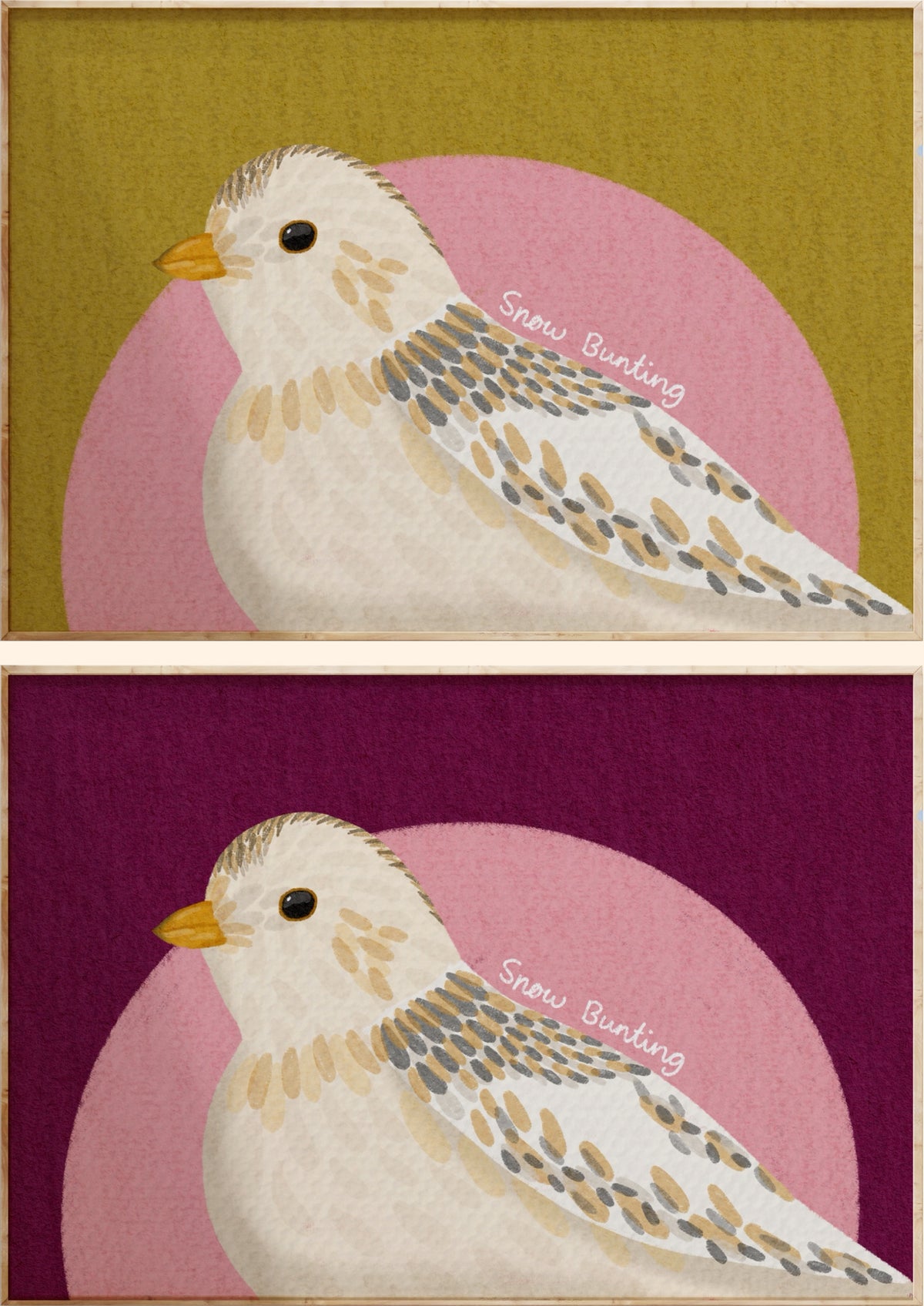 Snow Bunting Art Print